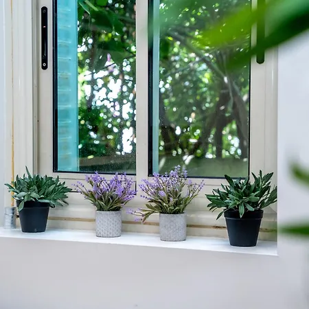 Duplex Saveria - Terrace - Netflix -