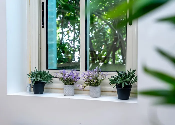 Duplex Saveria - Terrace - Netflix -